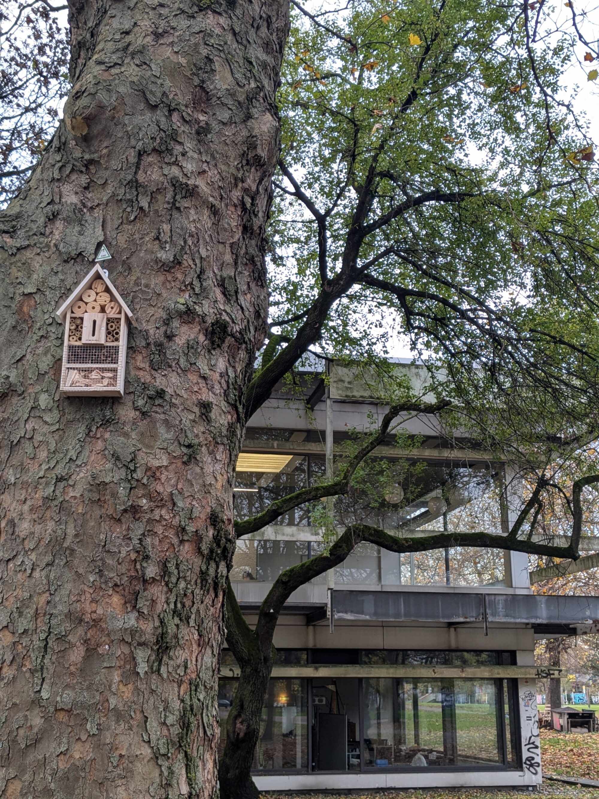 insect hotels