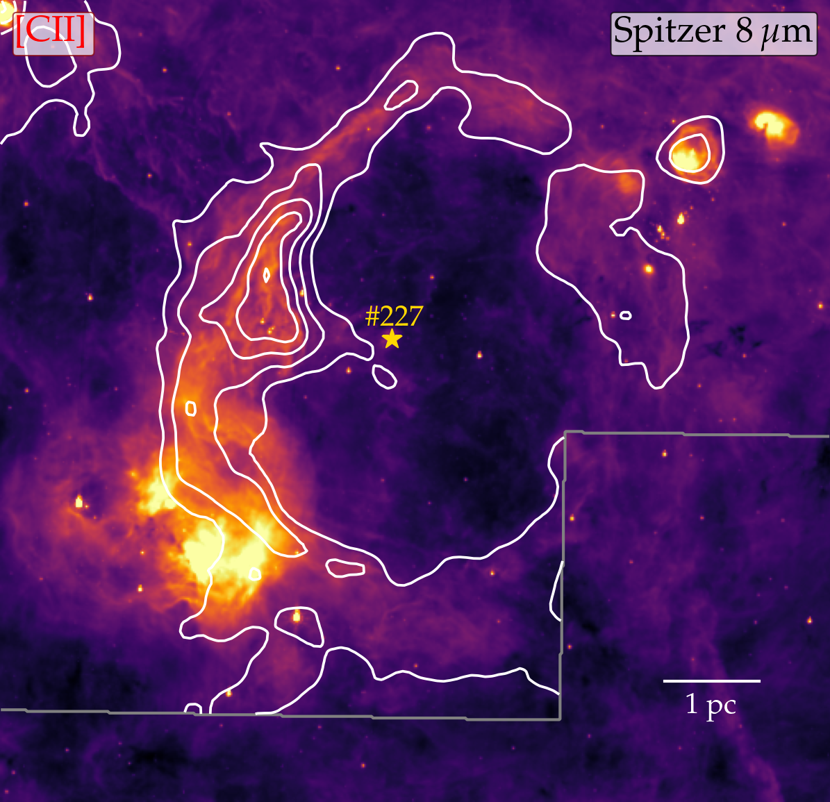 B2: The Diamond Ring in Cygnus X – Environment shapes evolution (Simon Dannhauer, Nicola Schneider, Robert Simon, Sebastian Vider)