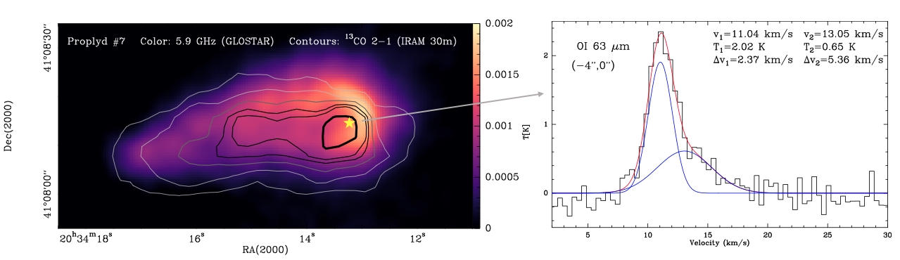 SFB Science Highlight January 2026